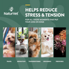 NaturVet Hemp Quiet Moments Calming Aid