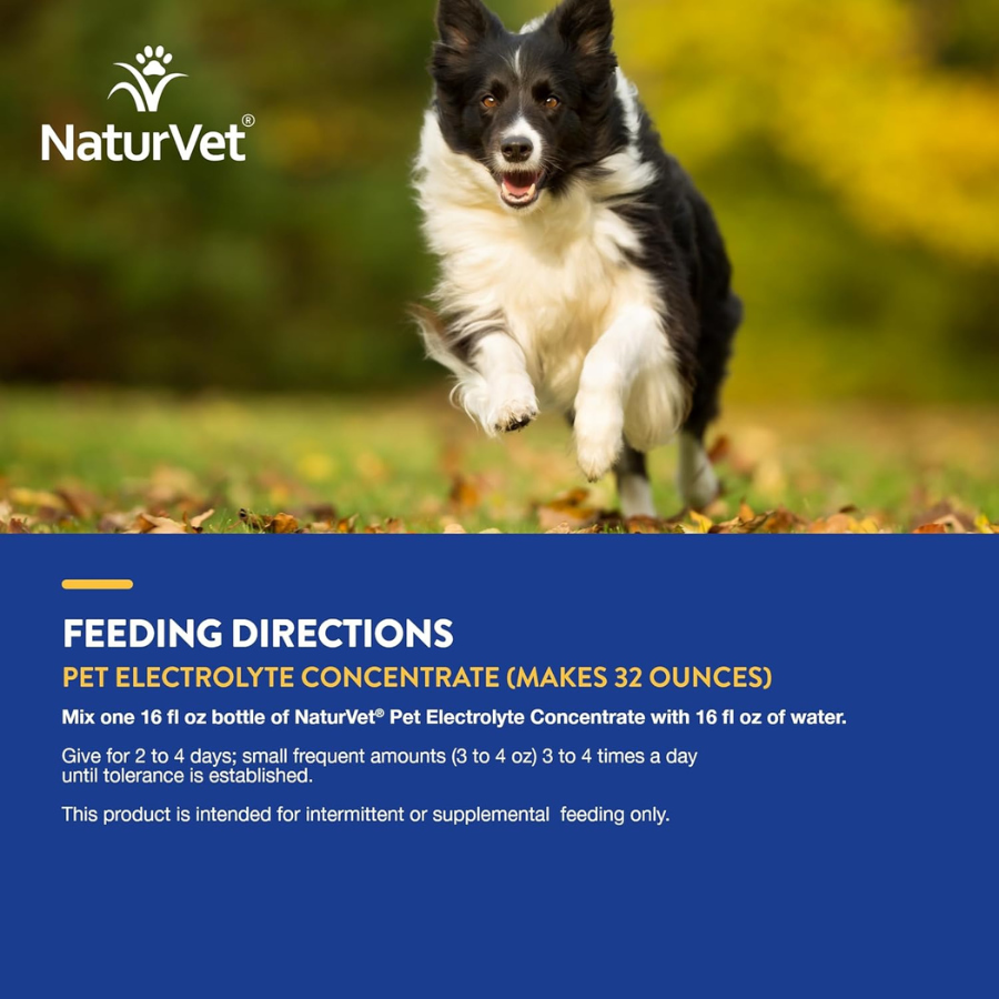 NaturVet Pet Electrolyte Concentrate for Dogs and Cats - 16 oz
