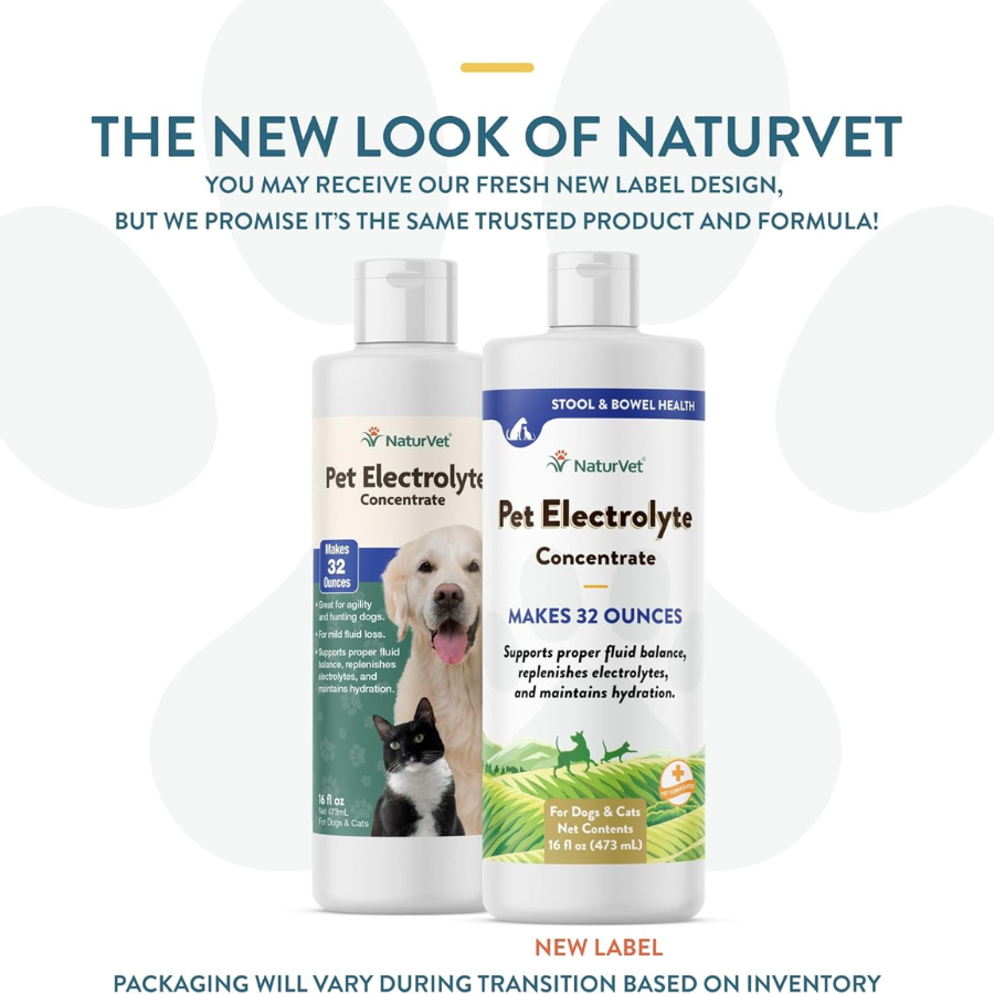 NaturVet Pet Electrolyte Concentrate for Dogs and Cats - 16 oz