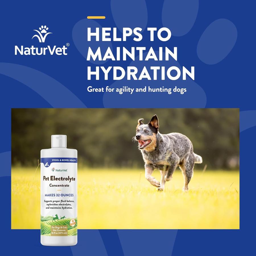 NaturVet Pet Electrolyte Concentrate for Dogs and Cats - 16 oz