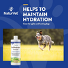 NaturVet Pet Electrolyte Concentrate for Dogs and Cats - 16 oz