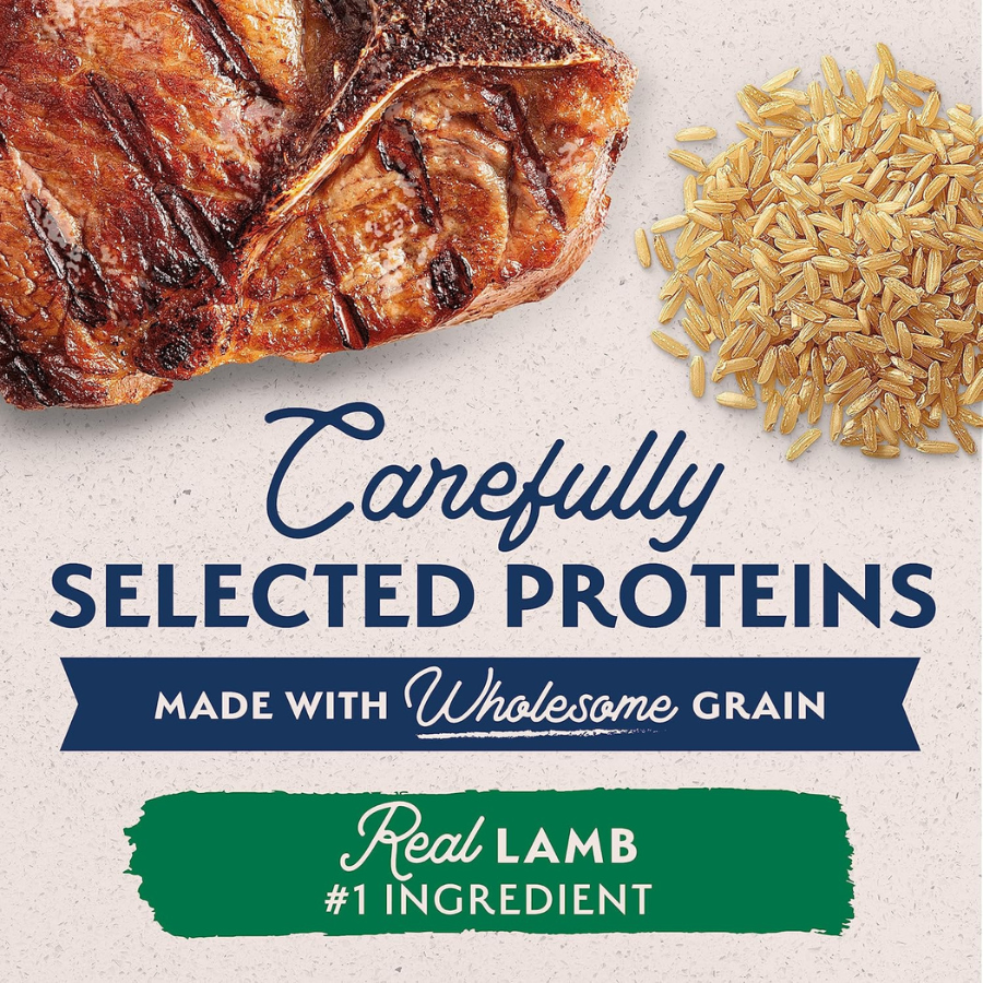 Natural Balance Limited Ingredient Lamb and Brown Rice (12 Cans)