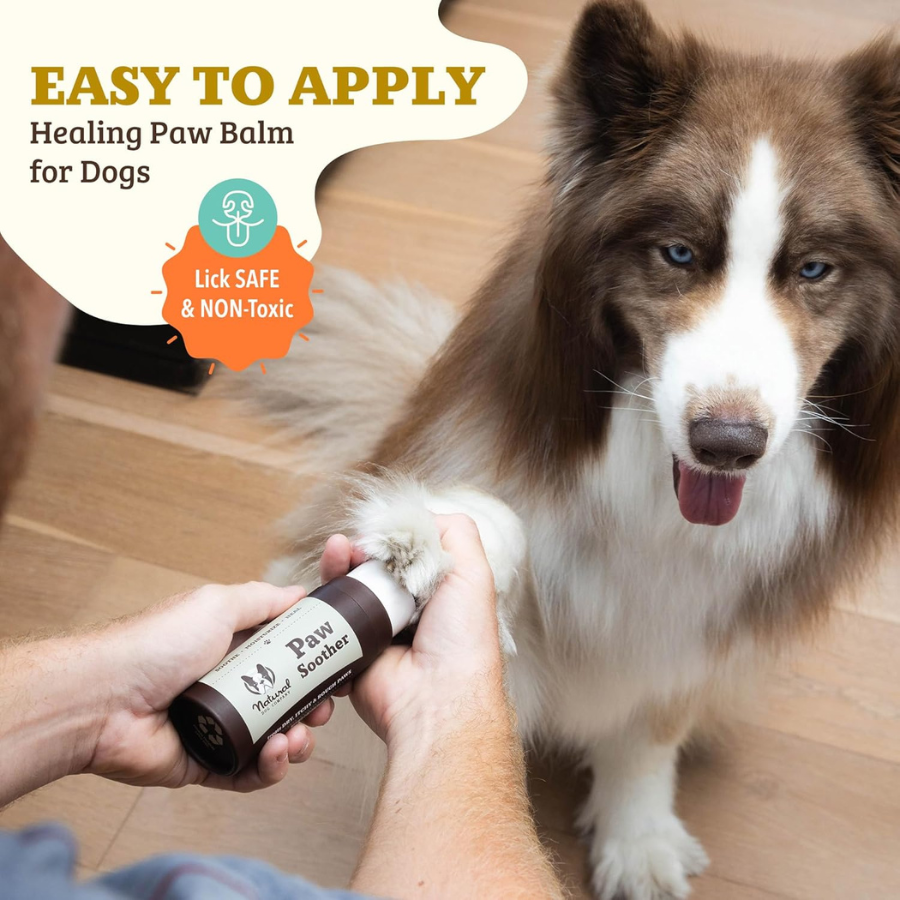 Natural Dog Company Paw Soother