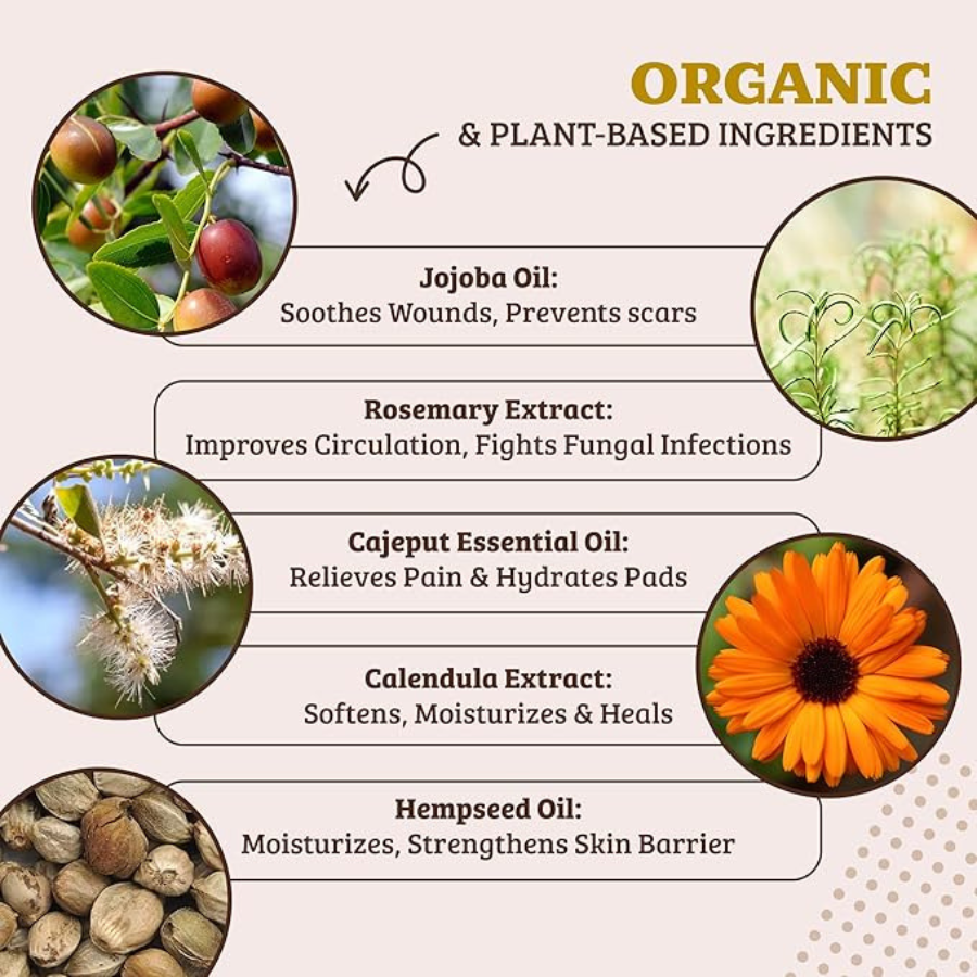 Natural Dog Company Paw Soother