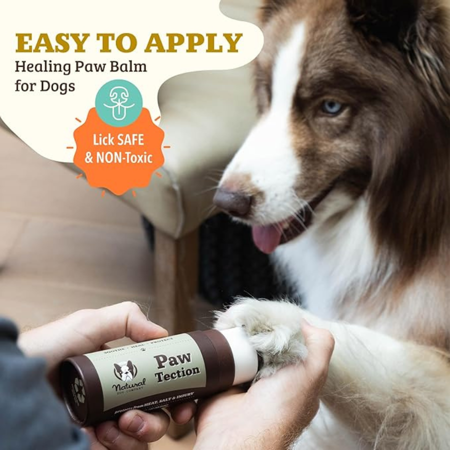 Natural Dog Company Pawtection