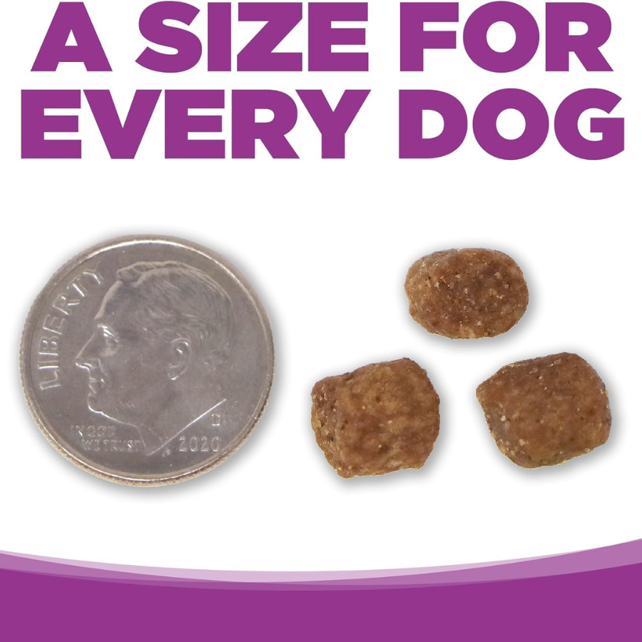 NutriSource Large Breed Puppy Chicken and Rice - 4 lbs