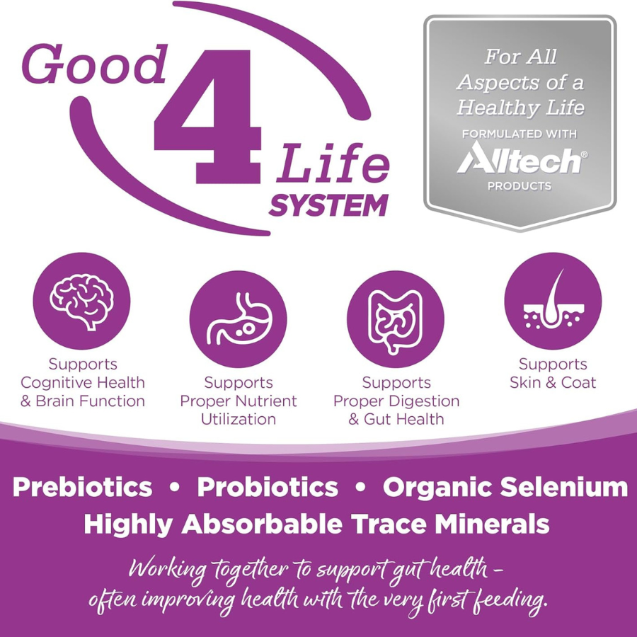 NutriSource Large Breed Puppy Chicken and Rice - 4 lbs