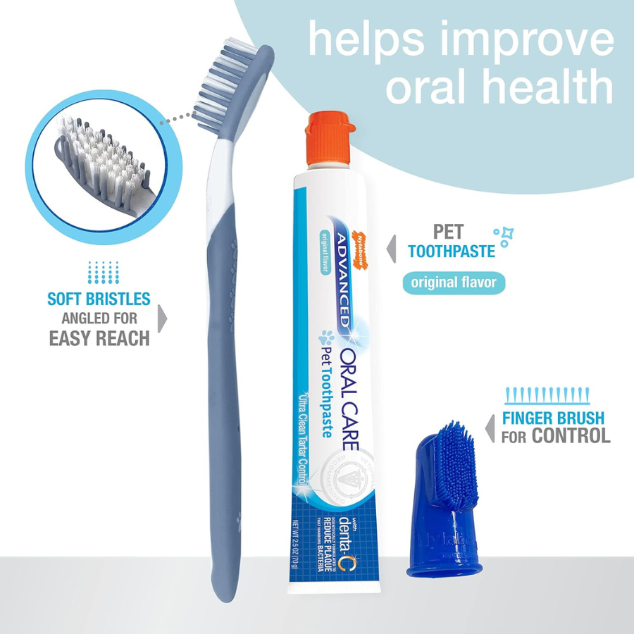 Nylabone Advanced Oral Care Dental Kit