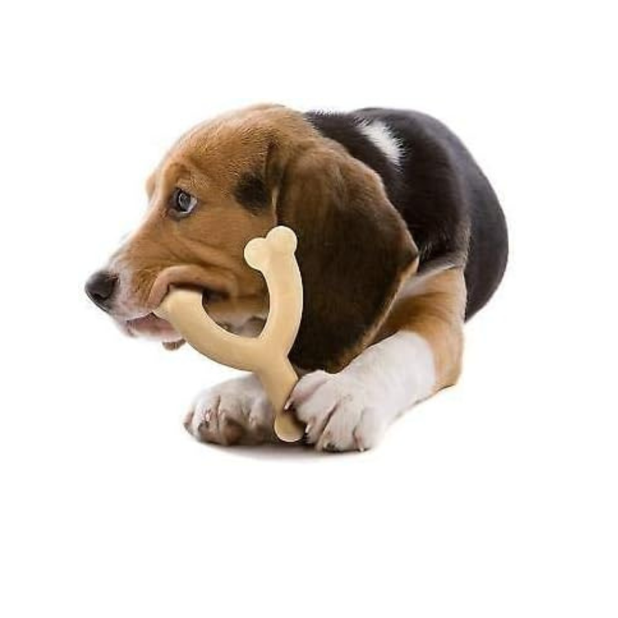 Nylabone DuraChew Wishbone Original