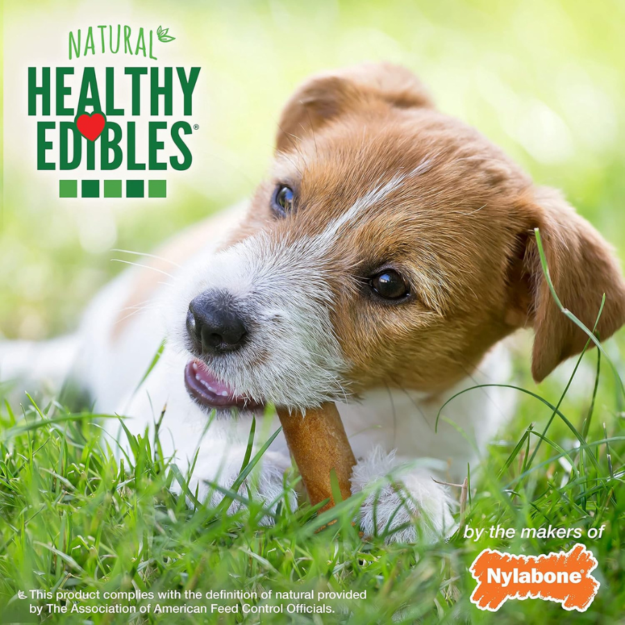 Nylabone Healthy Edibles Chew Bacon Flavour - Small (3 Pack)
