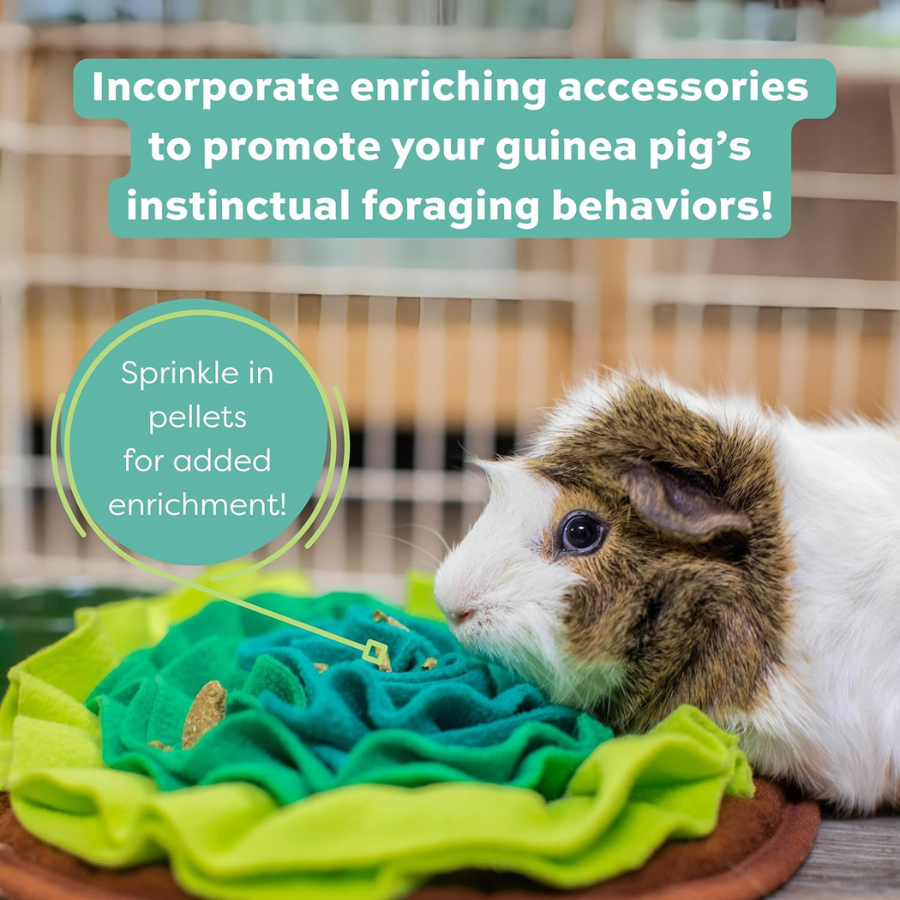 OXBOW Adult Guinea Pig Food