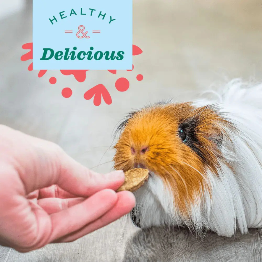 OXBOW Digestive Supplement - 60 Count