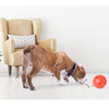Omega Paw Tricky Treat Ball
