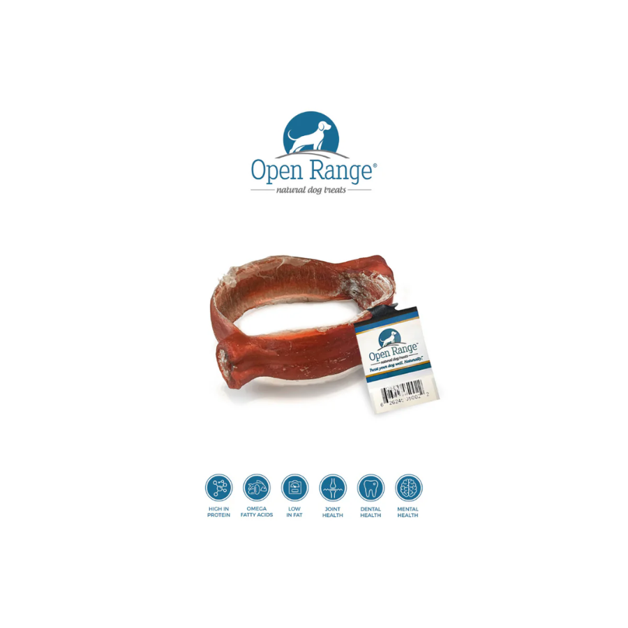 Open Range Bully Ring