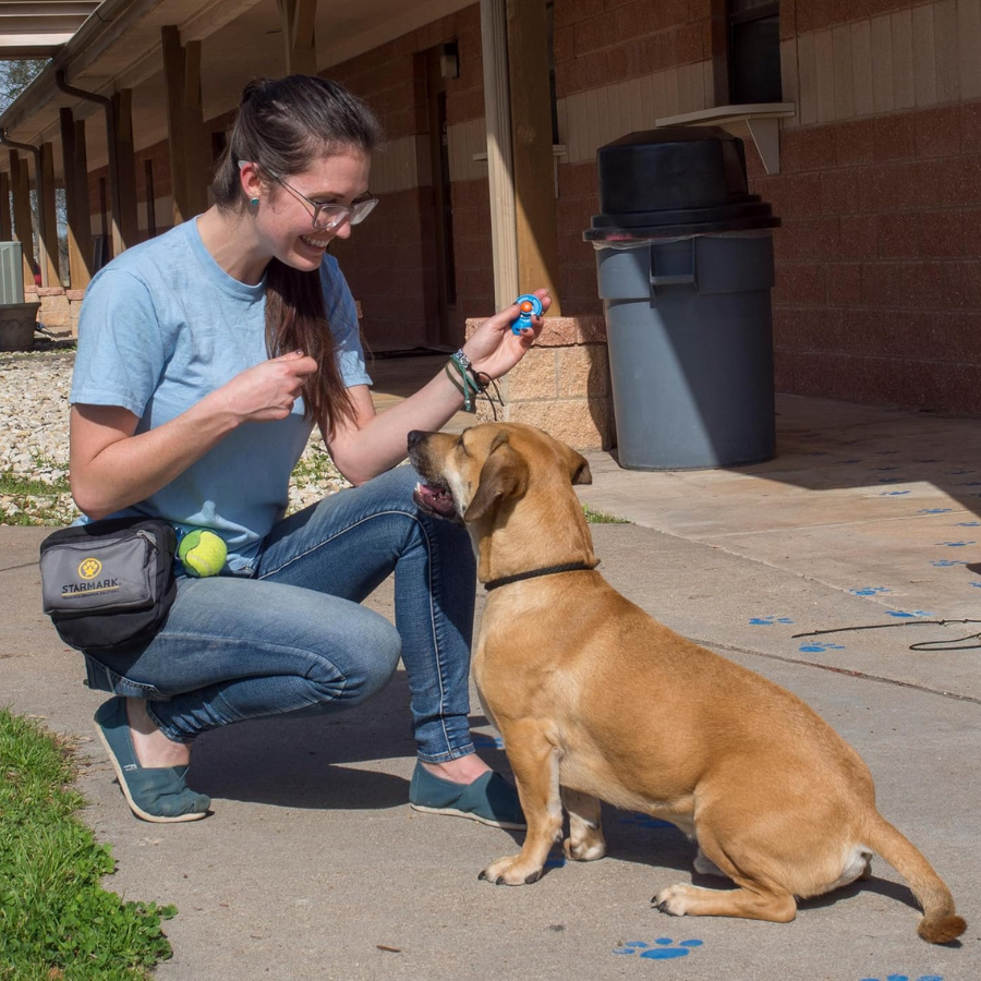 Pro-Training Clicker Deluxe