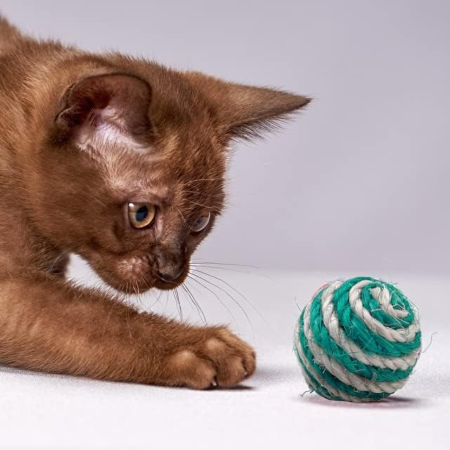 Rattle Ball Cat Toy - 1 Ball