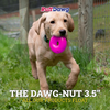 Ruff Dawg Dawg-Nut