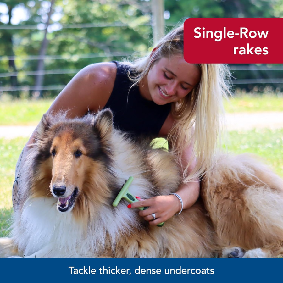 Safari Single Row Undercoat Rake