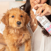 Skout's Honor Probiotic Deodorizer for Dogs and Cats- Honeysuckle