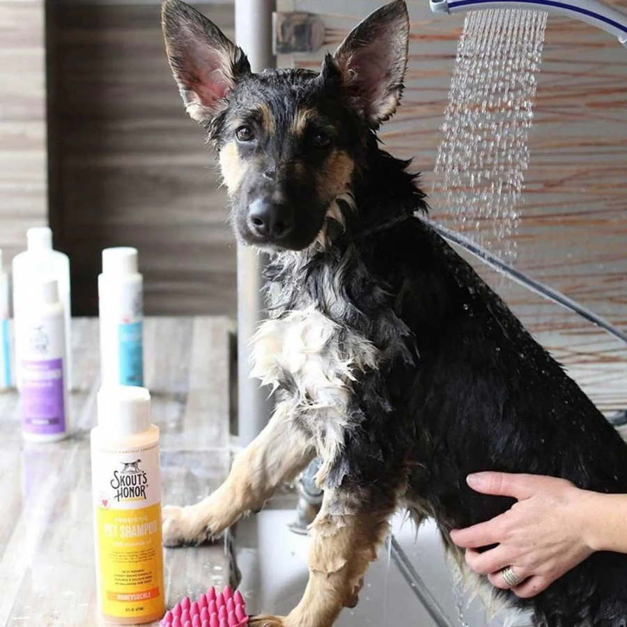 Skout's Honor Probiotic Dog Shampoo & Conditioner (2-In-1) - Honeysuckle