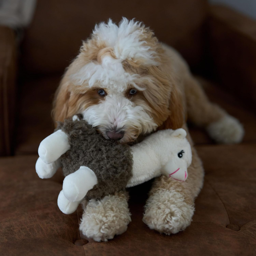 Spot Ethical Pet Yo Llama Plush Assorted - 10"