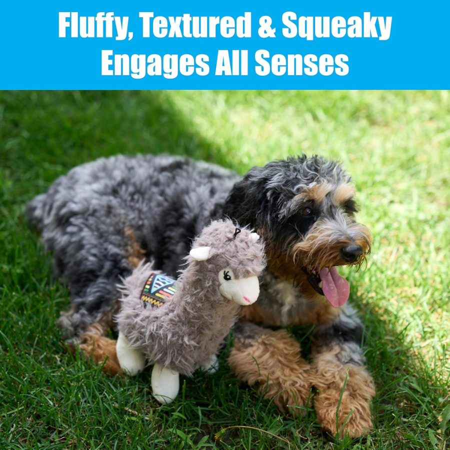 Spot Ethical Pet Yo Llama Plush Assorted - 10"