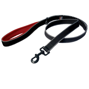 Springback Leash - 48"