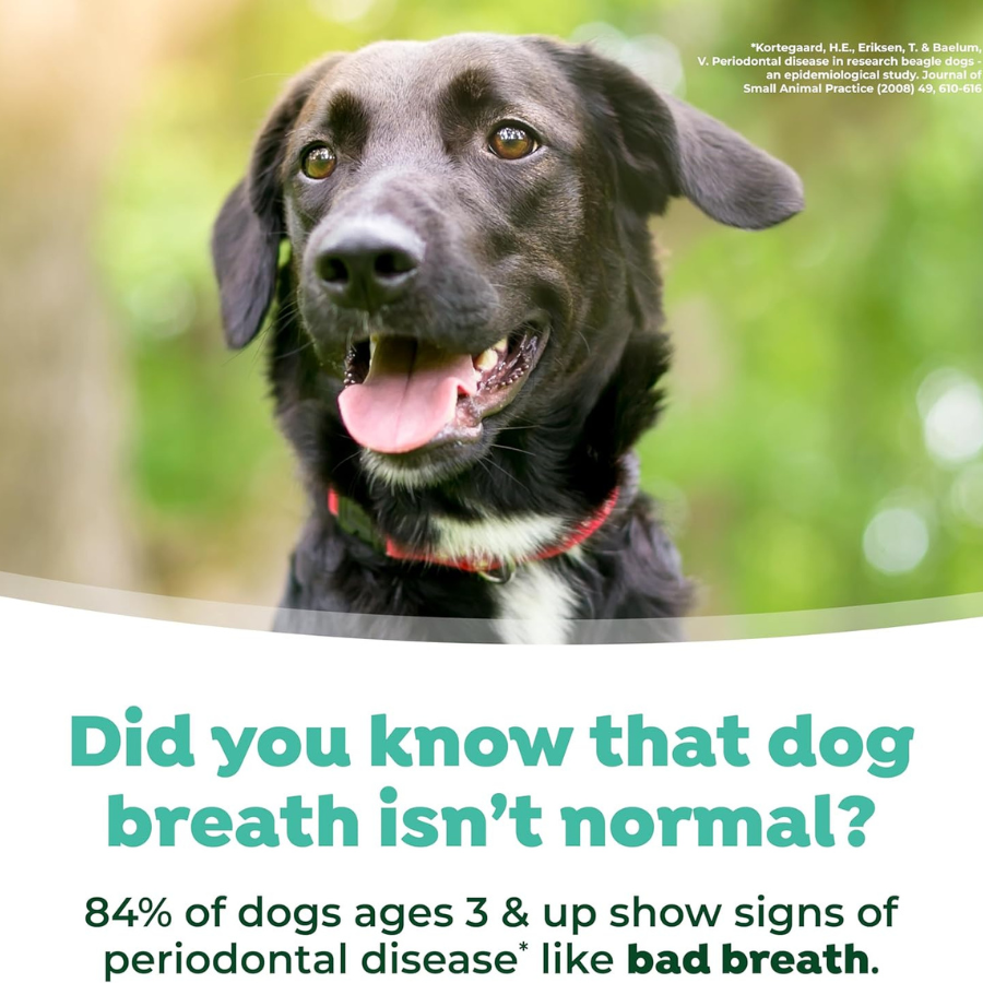 TropiClean Fresh Breath Dental Health Solution Advanced Whitening - 1 L