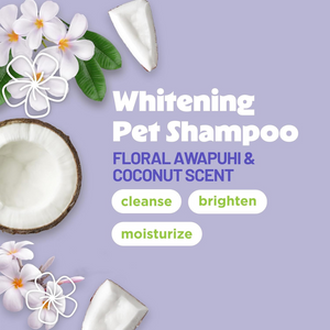 TropiClean Whitening Shampoo with Awapuhi and Coconut - 20 oz