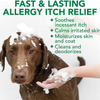 Vet's Best Allergy Itch Relief Shampoo - 16 oz