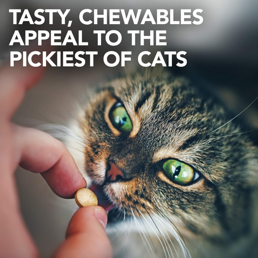 Vet's Best Urinary Tract Support - 60 Tabs