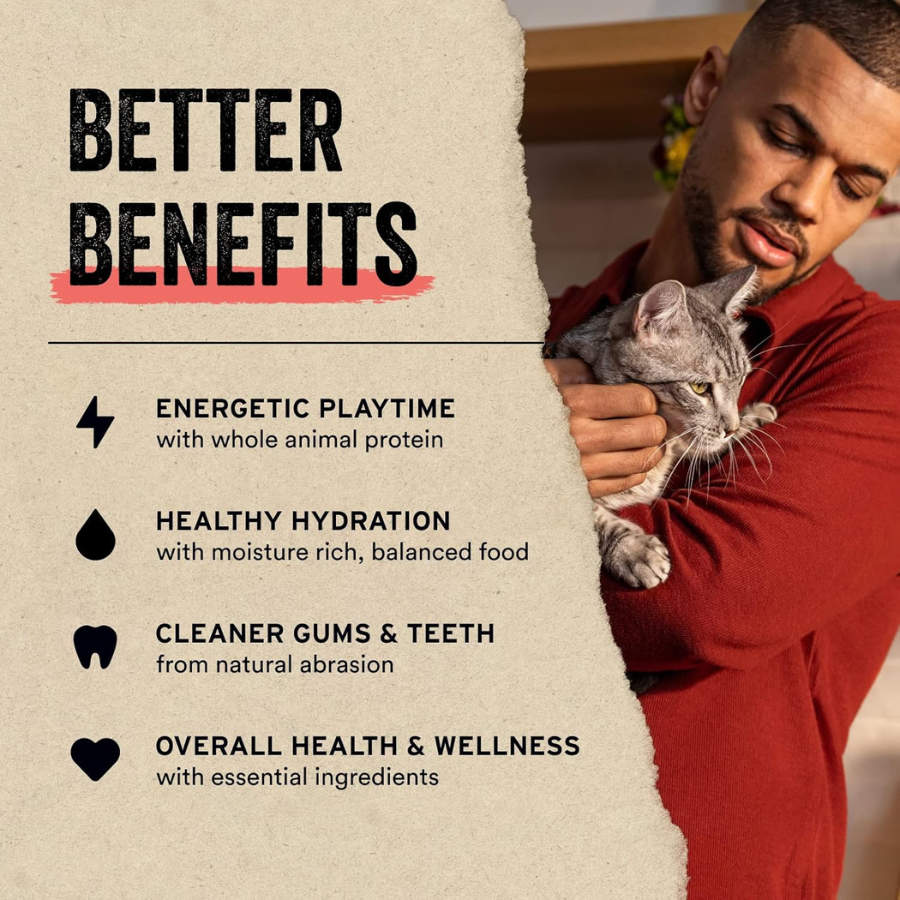 Vital Essentials Freeze-Dried Minnows for Cats