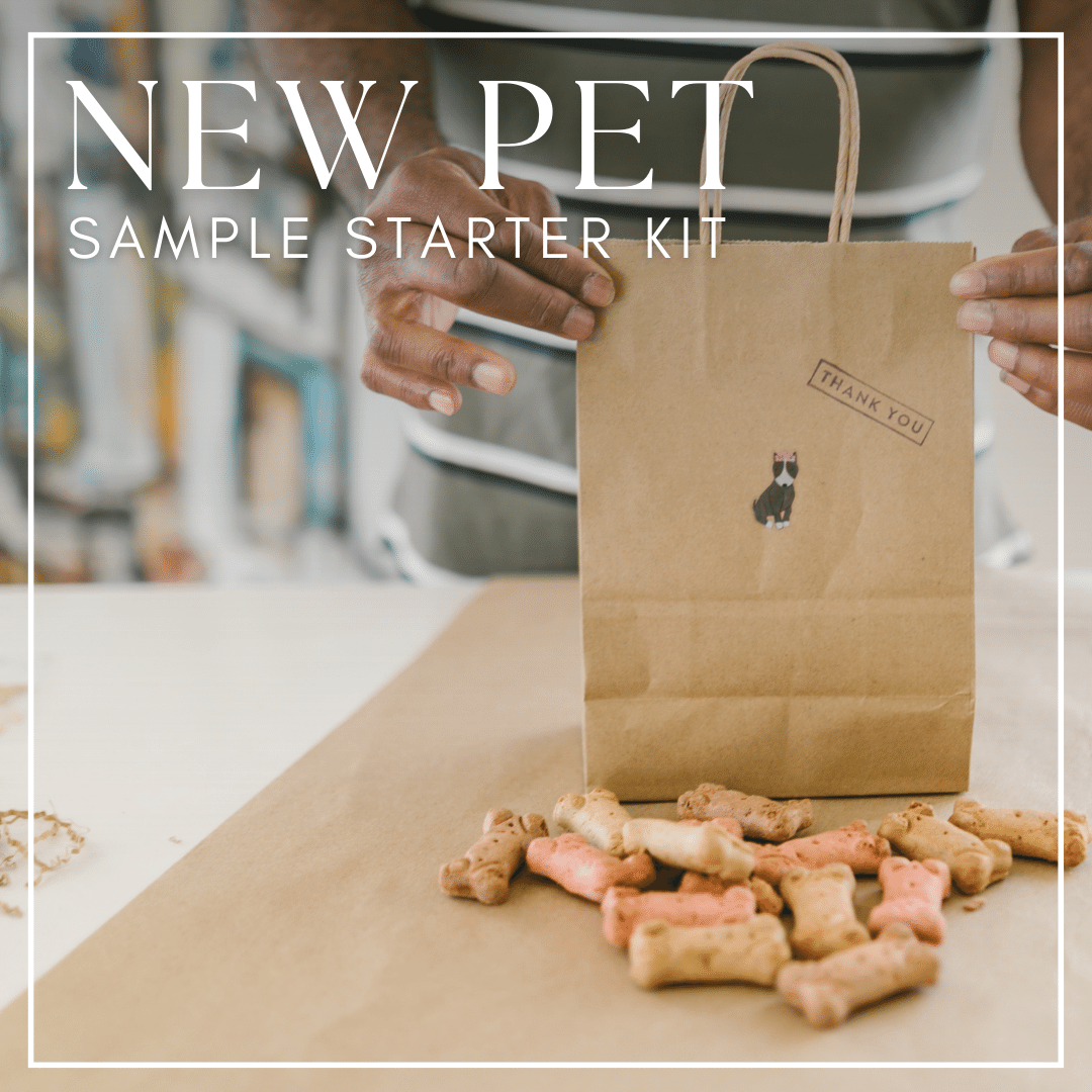 Brindle New Pet Starter Kit