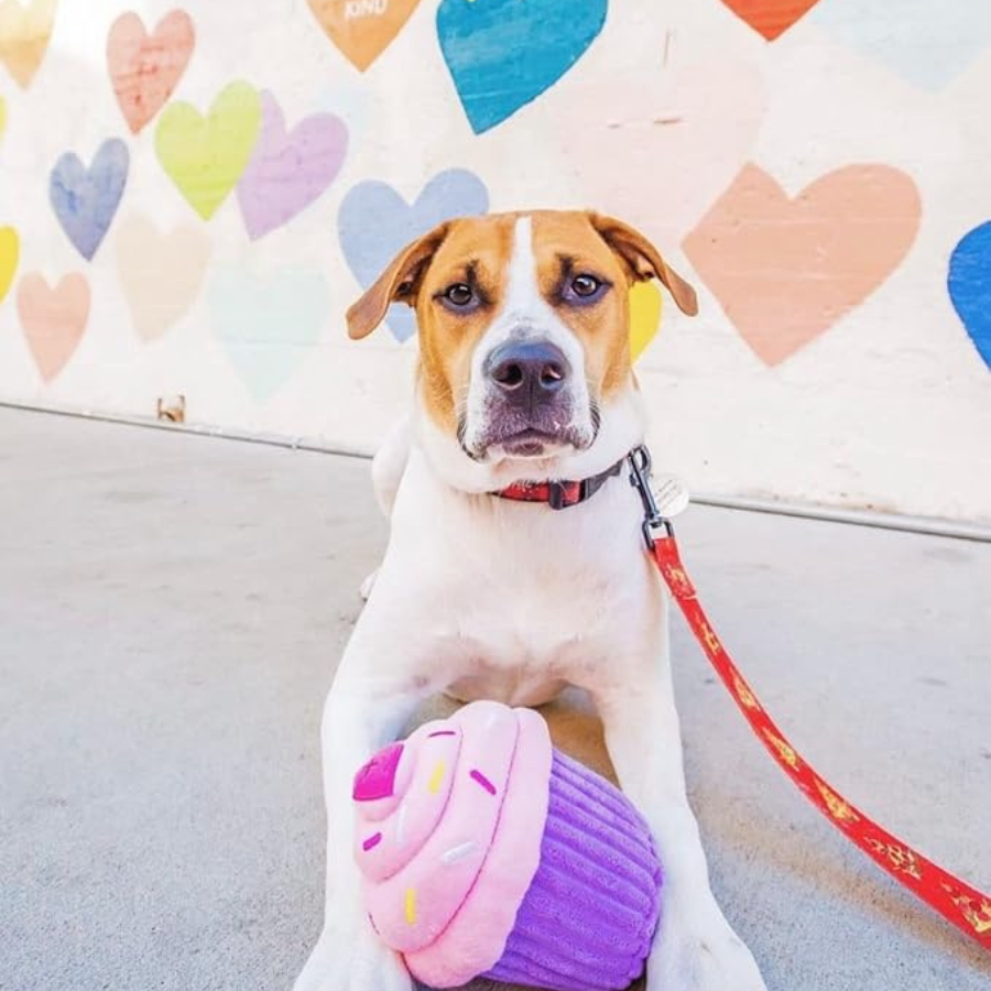 ZippyPaws Cupcake Squeaker Toy Pink