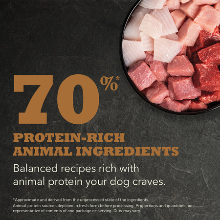 Acana Regionals Ranchlands Dog Food