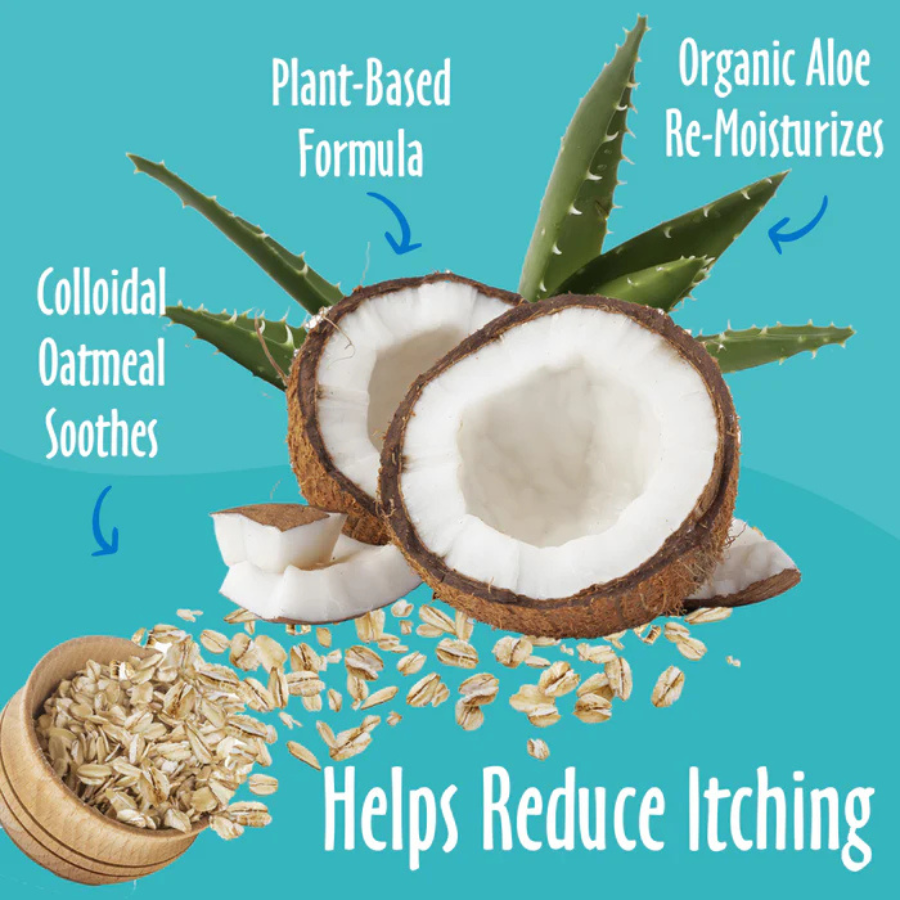 earthbath Oatmeal and Aloe Fragrance Free Conditioner for Dogs - 16 oz