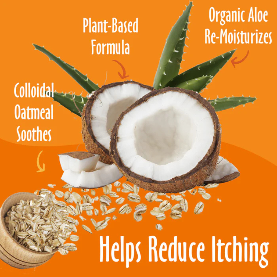 earthbath Oatmeal and Aloe Fragrance Free Shampoo - 16 oz