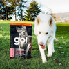 Go! Solutions Carnivore Grain-Free Salmon and Cod Dog Food