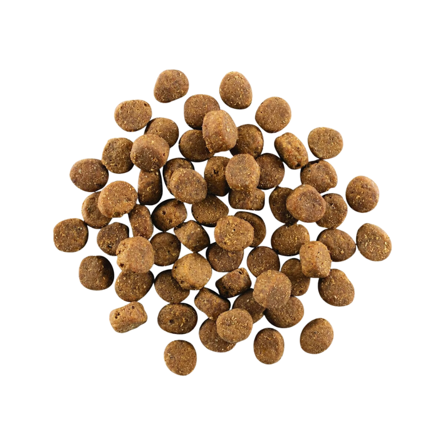 Go! Solutions Carnivore Grain-Free Salmon and Cod Dog Food