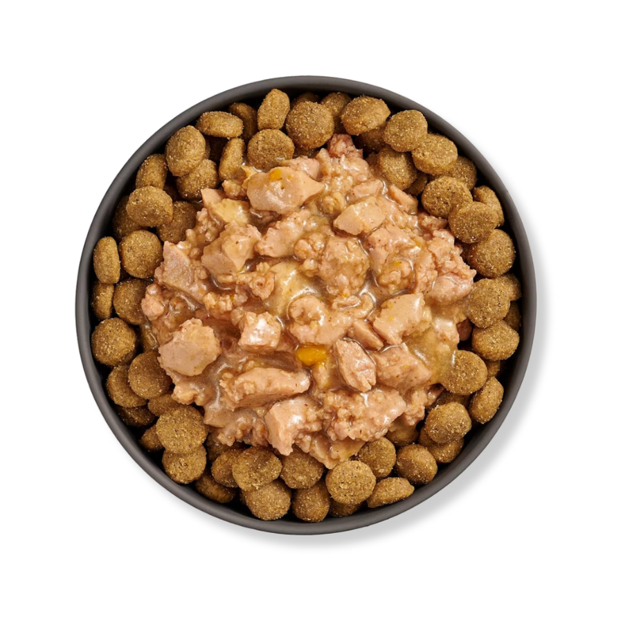 Go! Solutions Joint Health Booster for Dogs Minced Chicken with Gravy Recipe