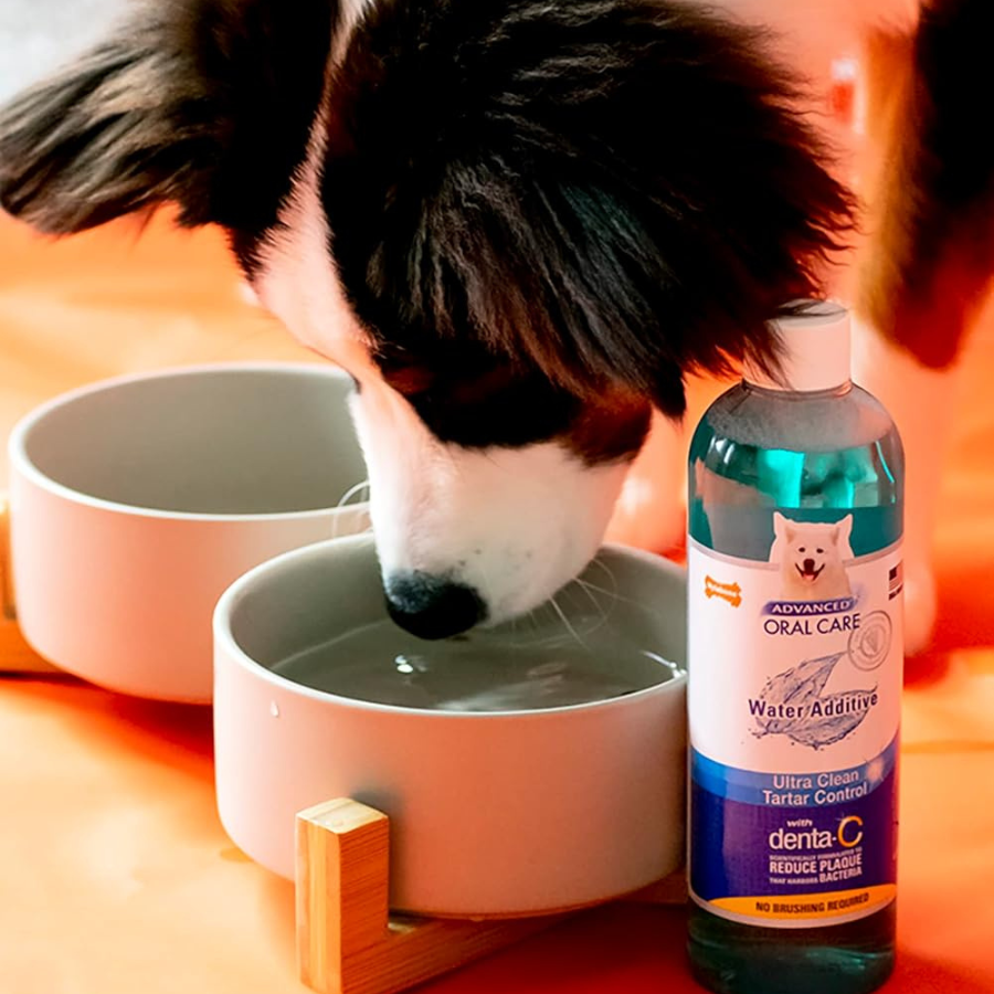 Nylabone Advanced Oral Care Tartar Remover - 32 oz