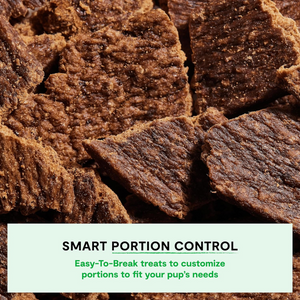 Open Farm Dog Dehydrated Beef Treats - 4.5 oz