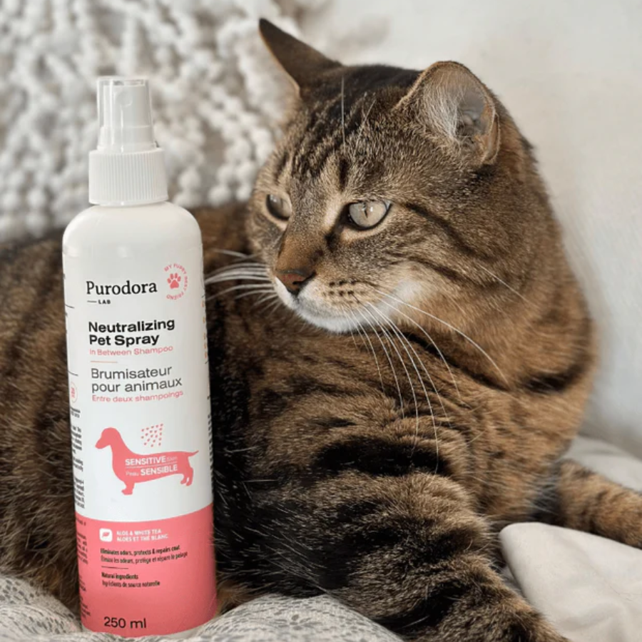 Purodora Lab In Between Shampoo Neutralizing Pet Spray for Sensitive Skin - 500 ml