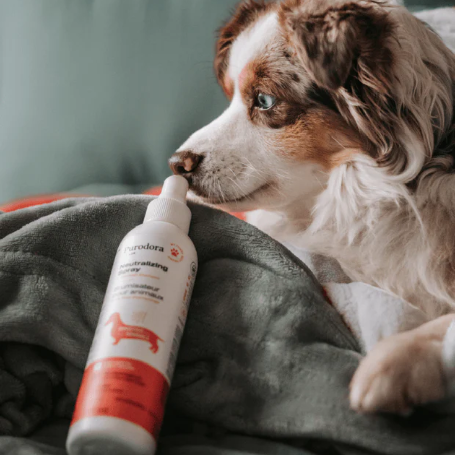 Purodora Lab In Between Shampoo Neutralizing Pet Spray for Sensitive Skin - 500 ml