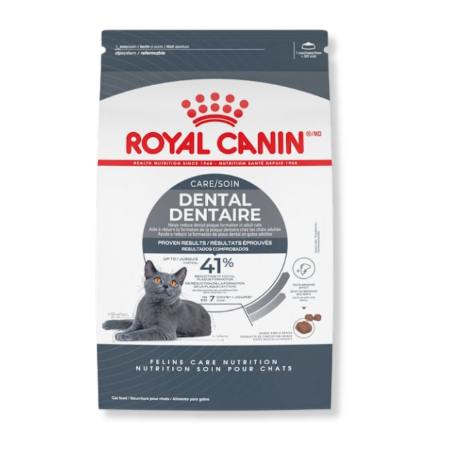 Cat Food for Dental Health: Top Picks for a Sparkling Smile