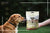 Badlands Ranch Dog Food Review: Is It Worth It for Your Dog?