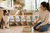 The Complete Guide to Dr. Marty Dog Food: Which Recipe Is Best for Your Dog?