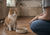 Orange and white cat sitting on a kitchen floor beside a bowl of dry food while a pet parent kneels nearby, gently observing in soft natural morning light.