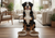 A healthy adult dog (Golden Retriever, Aussie, or Shepherd) sitting between two minimalist, unbranded kibble bowls on a clean wooden floor. Warm Canadian home interior, soft natural lighting, neutral beige and cream tones. Cozy, modern, trustworthy.