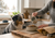 The Dinner Bowl Drama: Why Some Dogs Suddenly Boycott Their Food